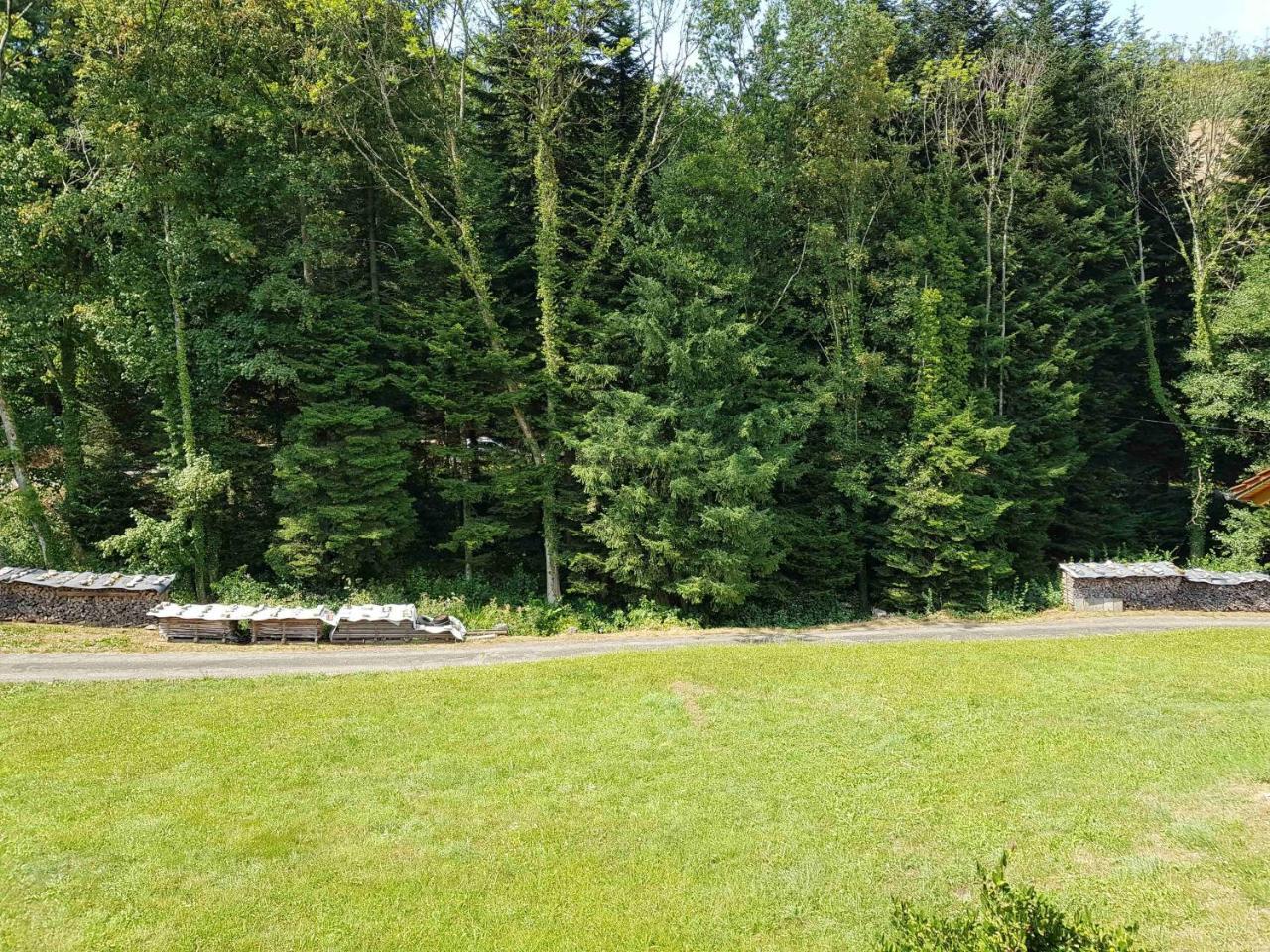 Spinnertonihof Bad Peterstal-Griesbach Exterior photo